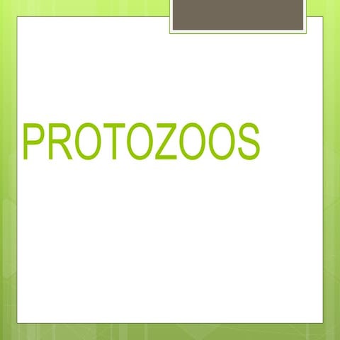Protozoarios