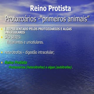 Revisão para a globalizada