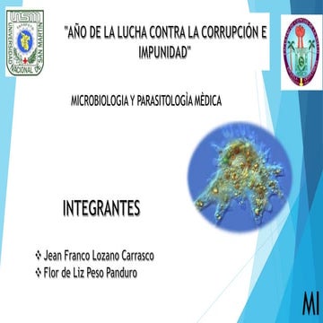 PROTOZOOS SARCODINOS G5.pptx