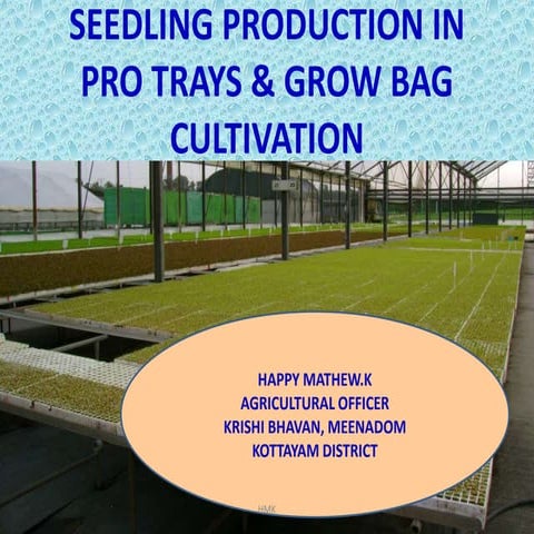 Pro-tray Seedling Production &  Grow Bag Cultivation