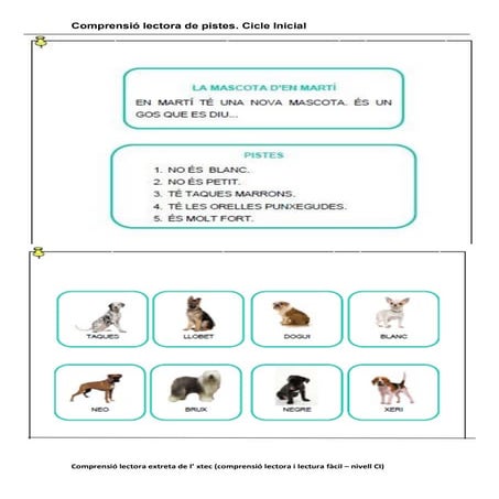 Prova comprensió lectora pistes
