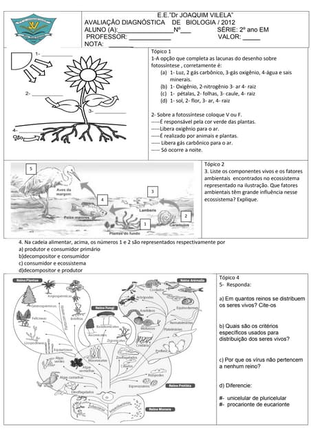 Prova de biologia diagnóstico 2º ano