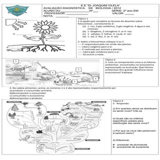 Prova de biologia diagnóstico 2º ano