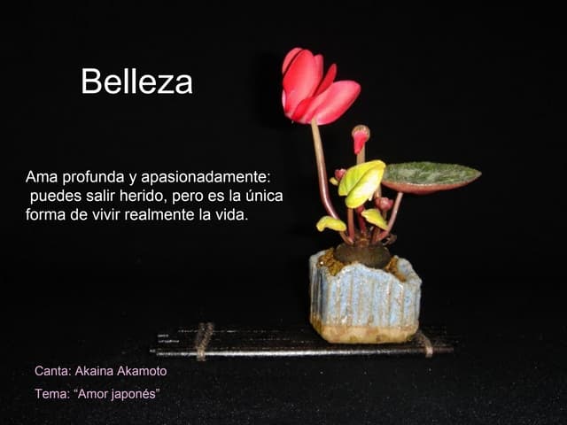 Proverbios japoneses - Belleza