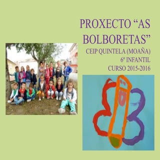 Proxecto as bolboretas