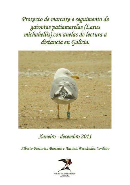 Proxecto marcaxe gaivota_patiamarel...