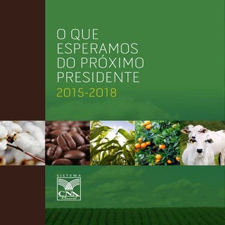 O que esperamos do próximo presiden...