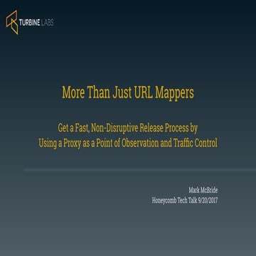 More Than Just URL Mappers - Proxies for Observation and Control