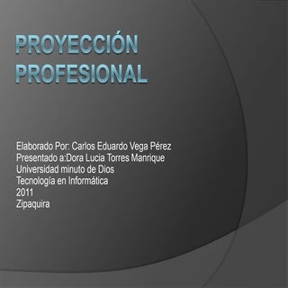 Proyección profesional