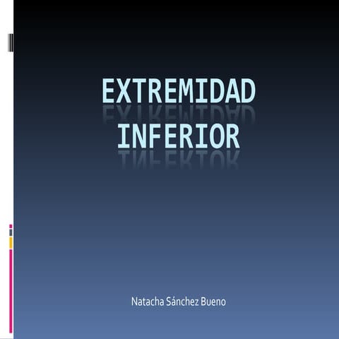 Proyecciones Radiologicas Miembro Inferior