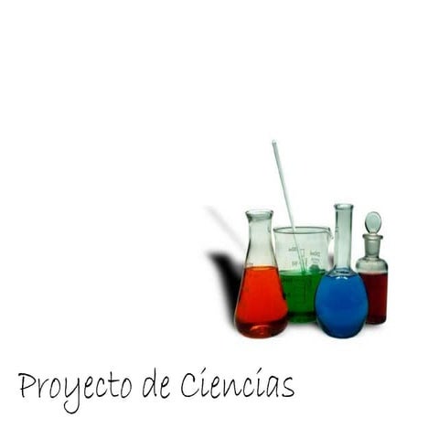 Proyecto