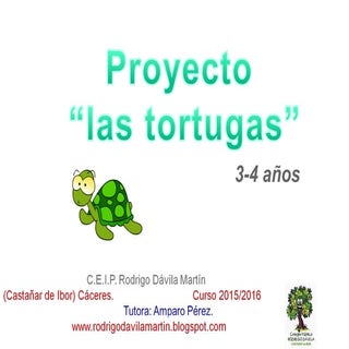 Proyecto tortugas 3/4 años