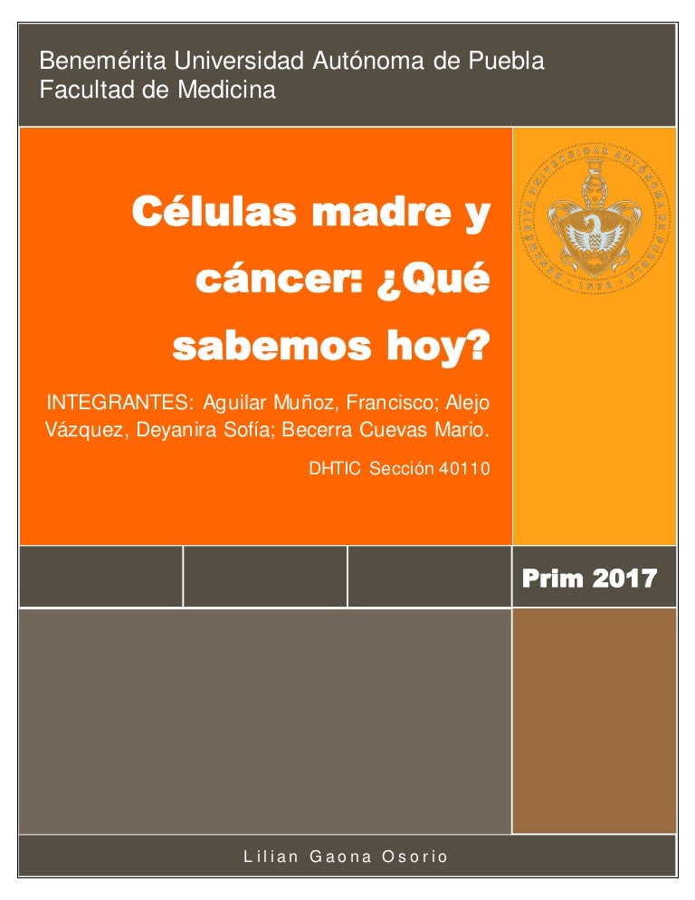 células madre de células madre para el cáncer de próstata