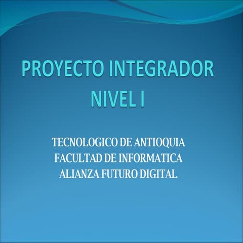 Proyecto Integrador Nivel I