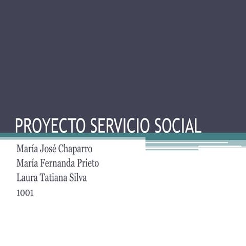 Proyecto servicio-social