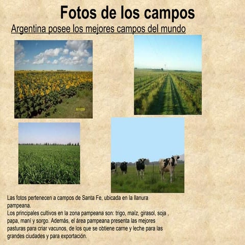 ganaderia alternativa