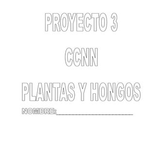 PROYECTO 3 CCNN