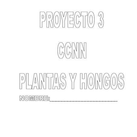 PROYECTO 3 CCNN