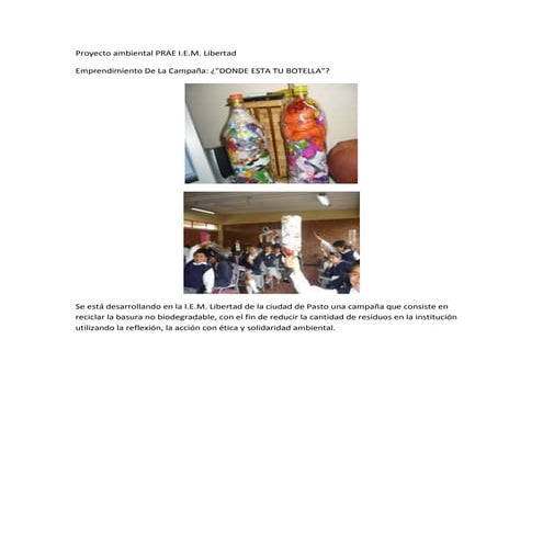 Proyecto ambiental prae i