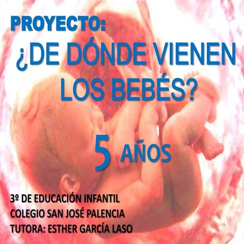 Proyecto: ¿De dónde vienen los bebés? 5 Años