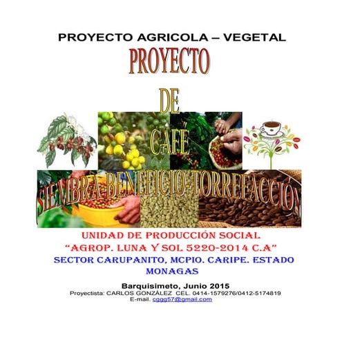Proyecto café (siembra beneficio torrefacción) agrop luna y sol jun_2015 comp...