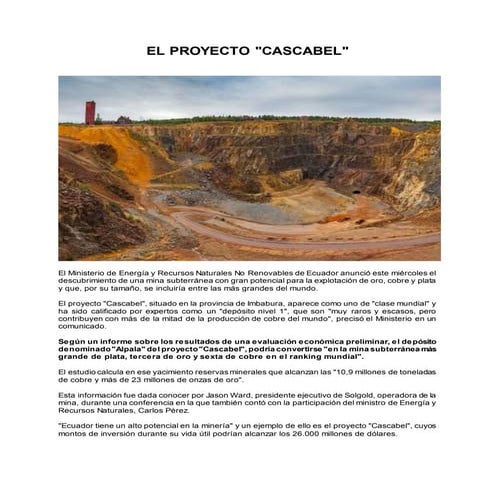 Proyecto cascabel