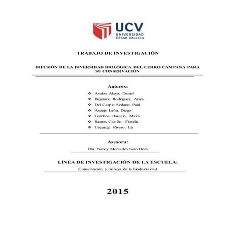 Proyecto cerrocampana