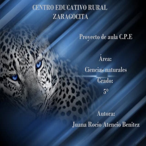 Proyecto de aula c.e.r. zaragocita
