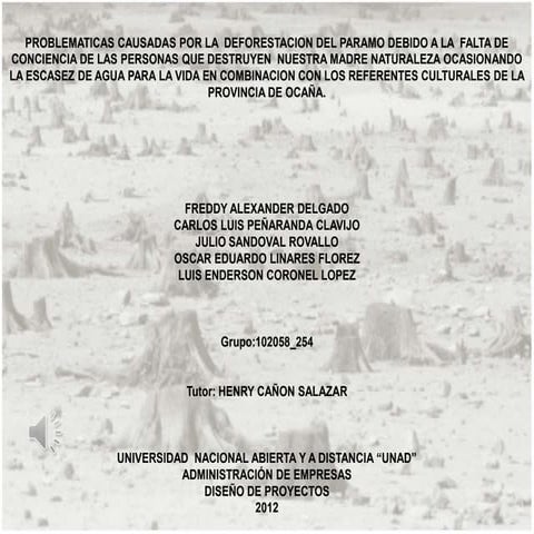 Proyecto de deforestacion