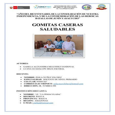 PROYECTO DE GOMITAS SALUDABLES Para la vida.pdf