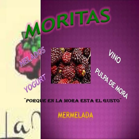 Proyecto de informática 1