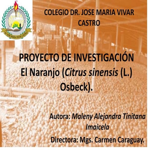 Proyecto de investigación