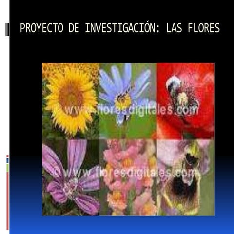 Proyecto de investigación: Las flores
