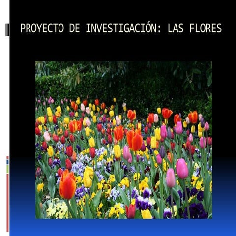 Proyecto de investigación: Las flores