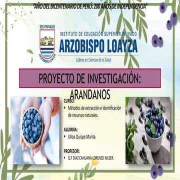 Proyecto de investigación ARANDANOS.pptx