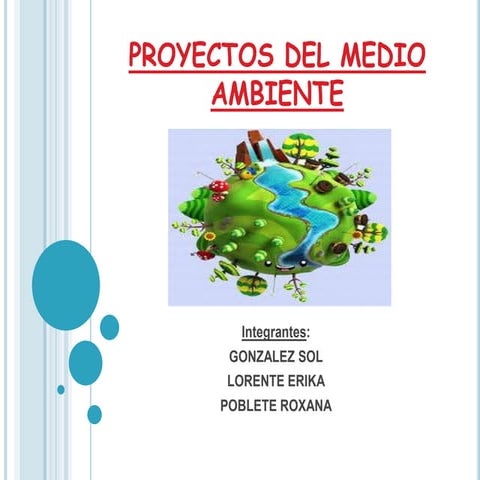 Proyecto de medio ambiente