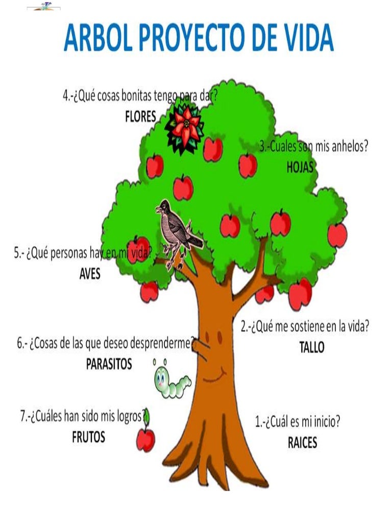 Proyecto de vida_para_los_laicos