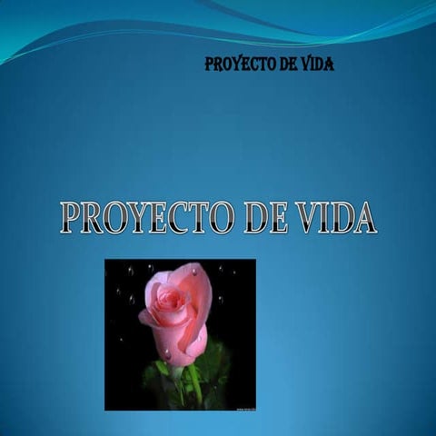 Proyecto de vidddda