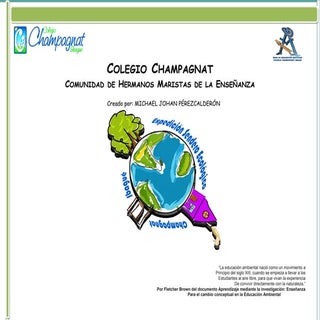 Proyecto e.s.e  champagnat de ibagu...