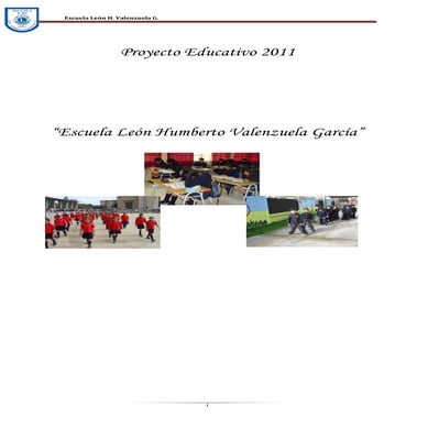 Proyecto educativo 2011