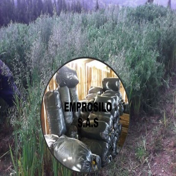 PROYECTO EMPROSILO S.A.S