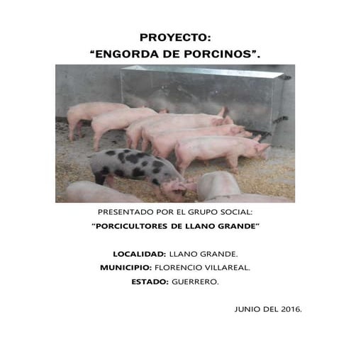 Proyecto engorda de cerdos