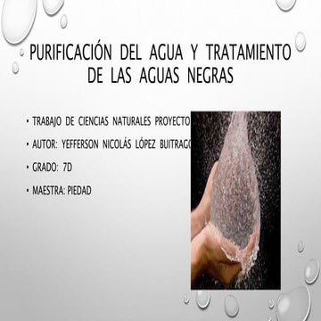 PROYECTO  FERIA  DE  LA  CIENCIA  TEMA  DE  CIENCIAS  NATURALES