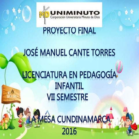 Proyecto Fina- Investigación Educativa 