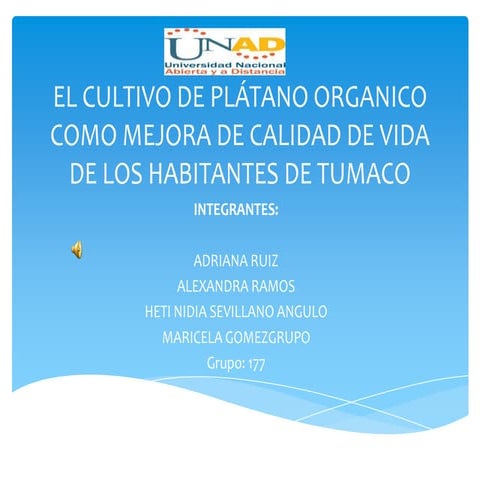 Proyecto final grupo 177