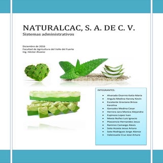 Proyecto final pulga luis mexia