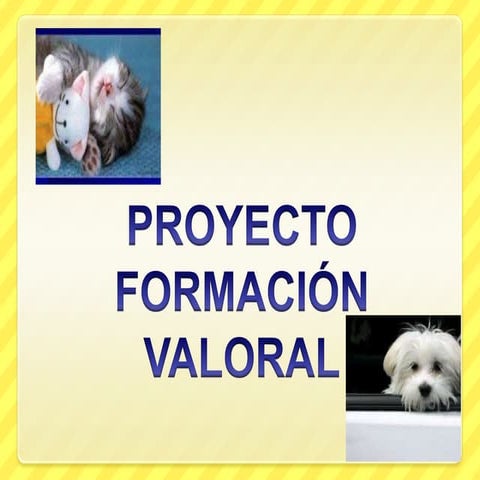 Proyecto formación valoral evidencias 2012