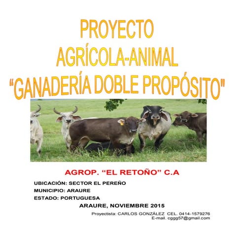 Proyecto gdp agrop. el retoño c.a nov 2015 completo