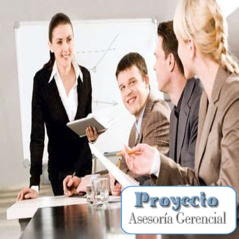 Proyecto Gerencial HIPA