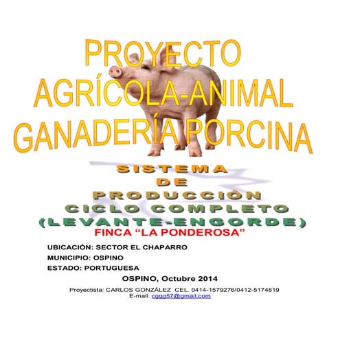 Proyecto granja de cerdo cc finca la ponderosa oct 2014 completo
